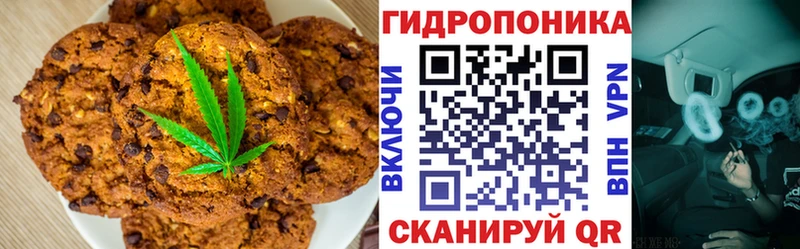Cannafood конопля  mega ONION  Камызяк  где можно купить  