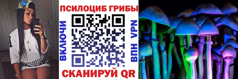 Галлюциногенные грибы Cubensis  ОМГ ОМГ ссылка  Камызяк 